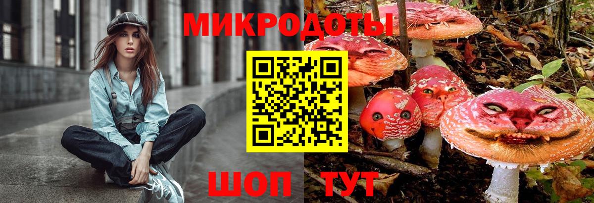 Галлюциногенные грибы Psilocybe  Псилоцибиновые грибы Magic Shrooms  Элиста  Вход с VPN 